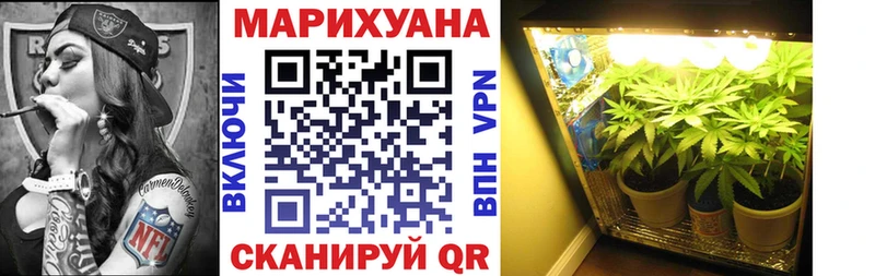 Шишки марихуана семена  Серов 